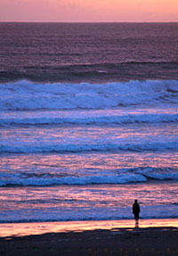 Waves